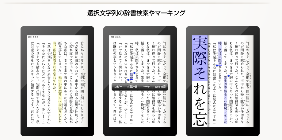 選択文字列の辞書検索やマーキング